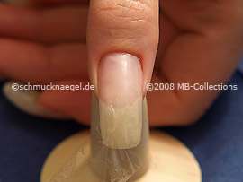 Nailart Motiv 115