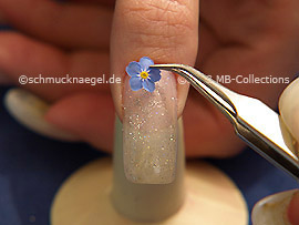 Trockenblumen und Pinzette