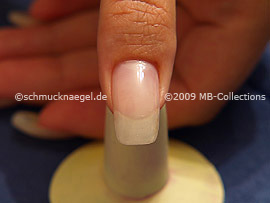 Nailart Motiv 176