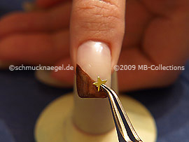 Pinzette und zwei Sterne in der Farbe gold
