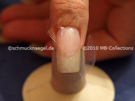 Nailart Motiv 233