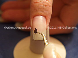 Getrocknetes Blütenblatt und Pinzette