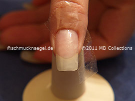 Nailart Motiv 289