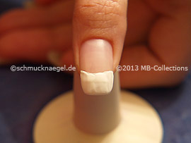 Nailart Motiv 356