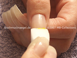 Kleiner Schwamm mit Acrylfarben