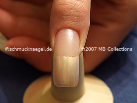 Weihnachtsmotiv 5 - Nailart Motiv 098