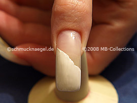 Nail Art Motivo 105