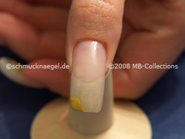 Nail Art Motivo 117