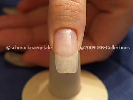 Nail Art Motivo 160
