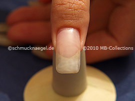 Nail Art Motivo 227
