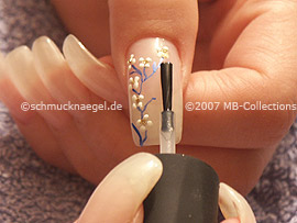 esmalte transparente