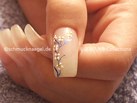 esmalte transparente