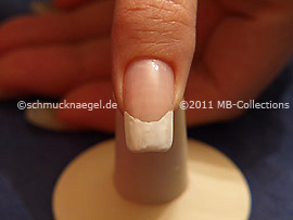 Nail Art Motivo 290