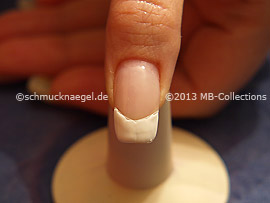 Nail Art Motivo 372