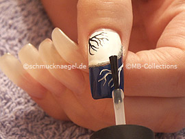 esmalte transparente
