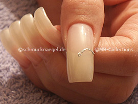 nail art liner de color plata-glitter