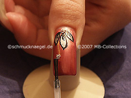 esmalte transparente