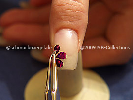 Hologram foil and the tweezers