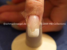Nail art motif 204