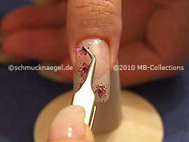 Dried flowers and the tweezers