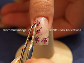 Dried flowers and the tweezers