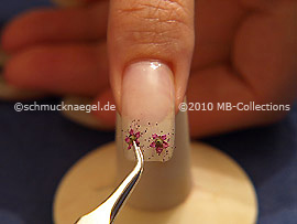 Dried flowers and the tweezers