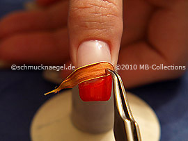 Dried leaf and tweezers