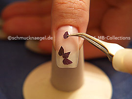 Dried flower petal and the tweezers