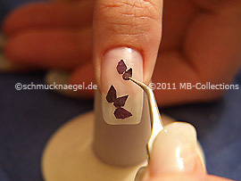 Dried flower petal and the tweezers