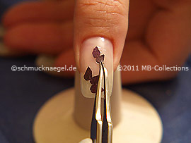Dried flower petal and the tweezers