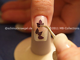 Dried flower petal and the tweezers