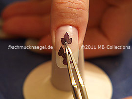 Dried flower petal and the tweezers