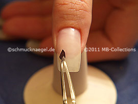 Dried flower petal and the tweezers