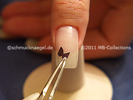 Dried flower petal and the tweezers