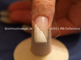 Nail art motif 260