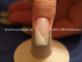 Nail art motif 260