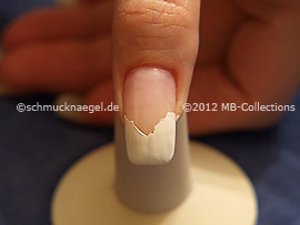 Nail art motif 310