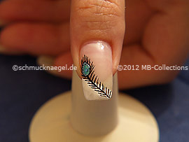 Peacock´s feather