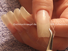 clear adhesive tape, cutter and tweezers