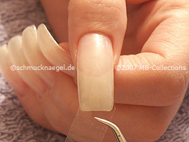 clear adhesive tape, tweezers and cutter